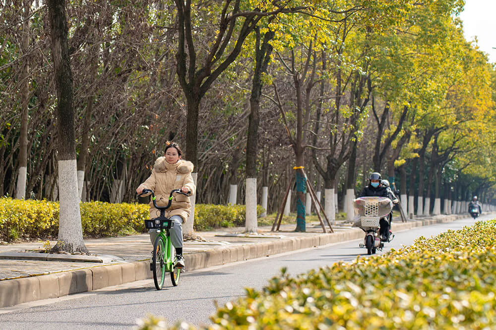 常州：開工首日 永安行騎行量增三成